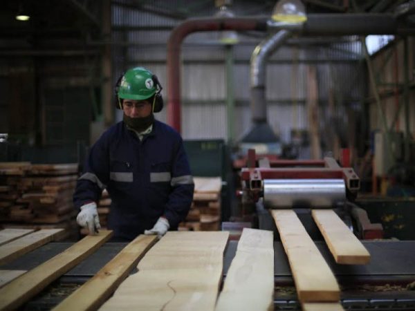 MADERA NOBLE E INGENIERÍA PARA LA FABRICACIÓN DE PUERTAS, PISOS Y REVESTIMIENTOS
