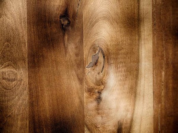 NUEVA LÍNEA DE PUERTAS DE IGNISTERRA REFLEJA USO SUSTENTABLE DEL BOSQUE NATIVO