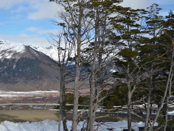 AIRE LIBRE Y NATURALEZA TODO EL AÑO: TIERRA DEL FUEGO FLORECE EN INVIERNO