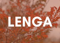 BOLSA 15 k. PELLETS LENGA SOLO RETIRO EN TIENDAS (POR CADA COMPRA DE 10 BOLSAS, TE REGALAMOS 1)