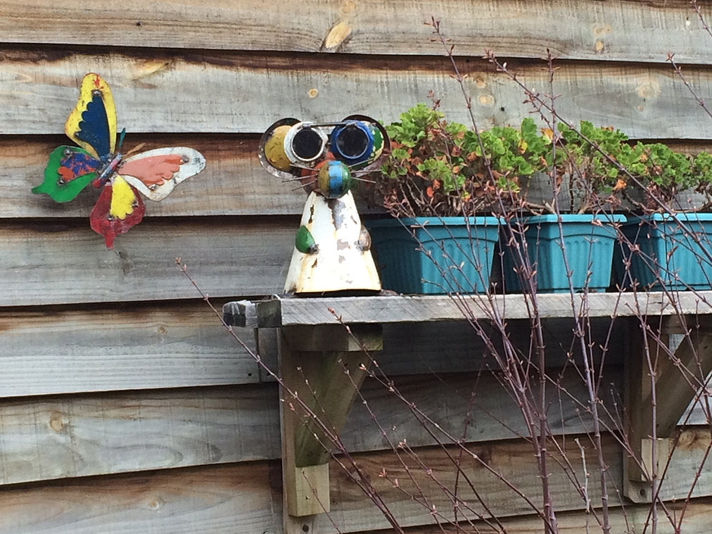 RATON CIEGO (1 UNIDAD)