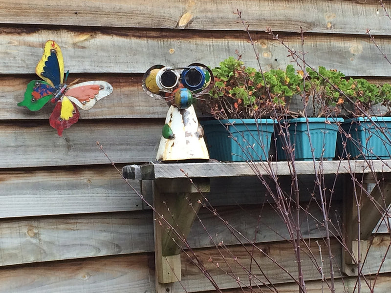 RATON CIEGO (1 UNIDAD)